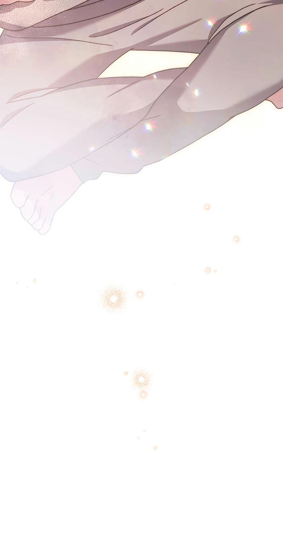 The Novel