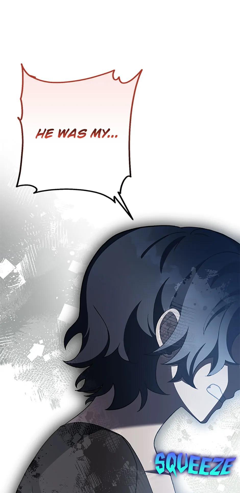 The Novel