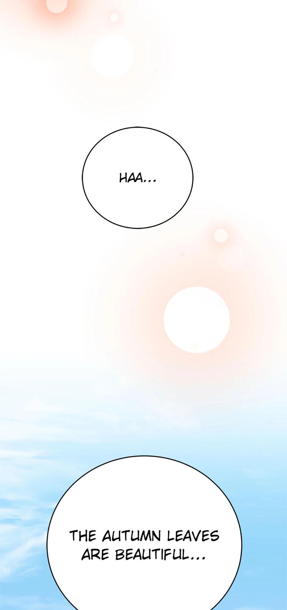 The Novel