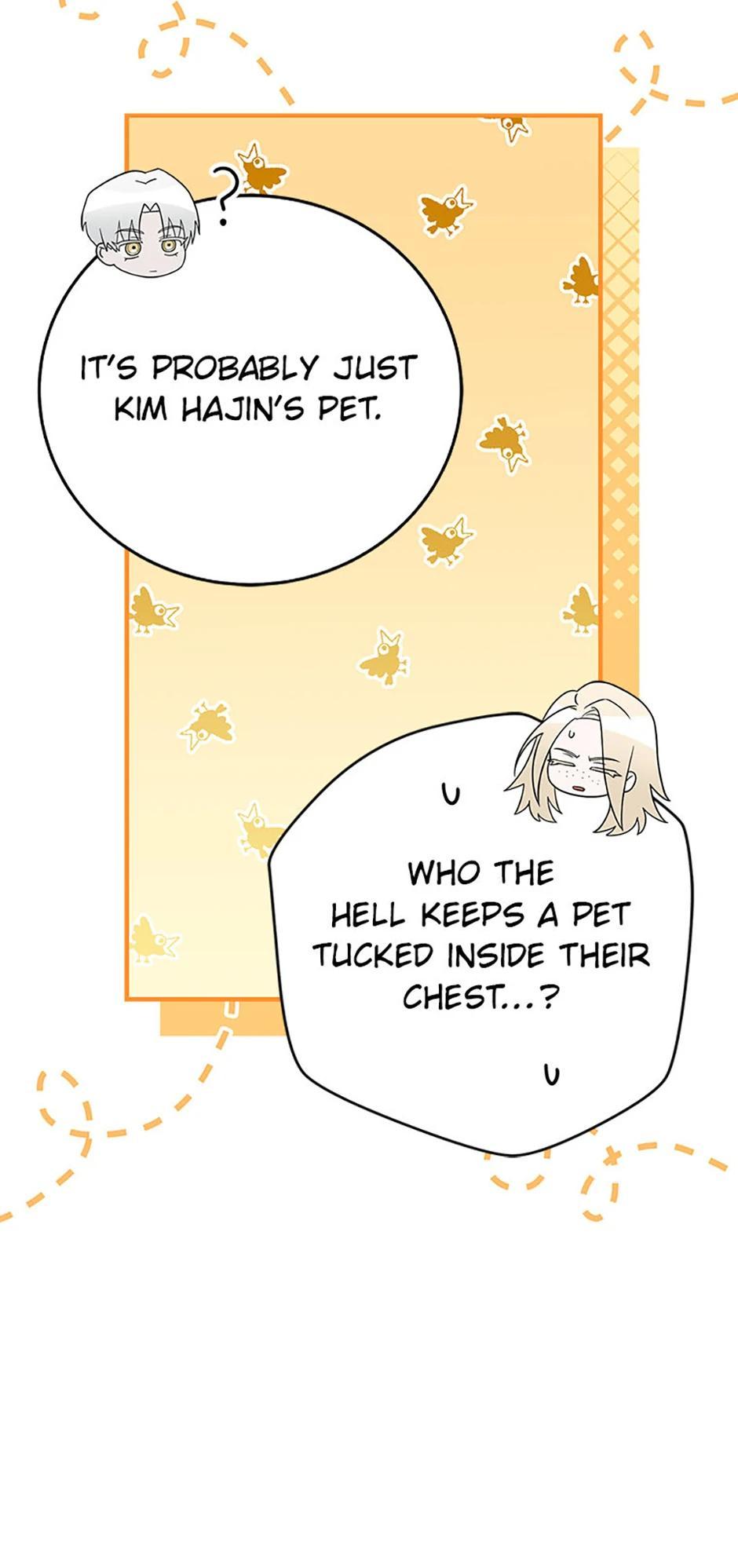 The Novel