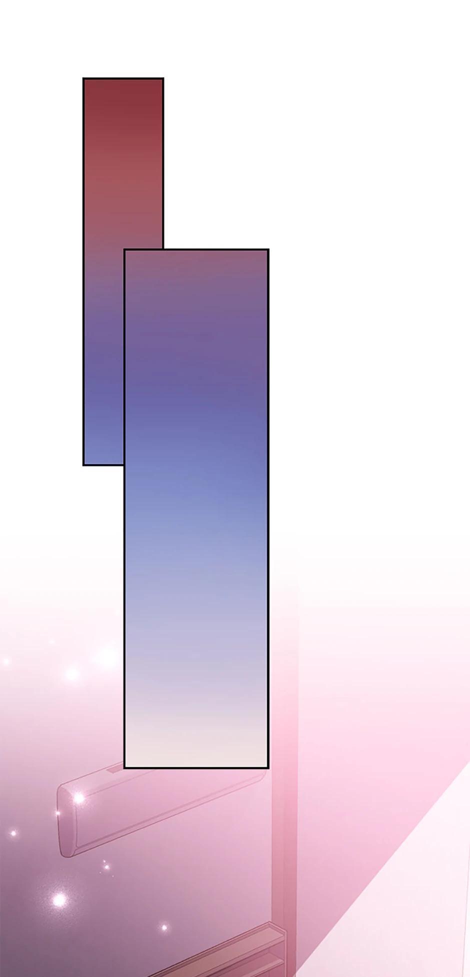 The Novel