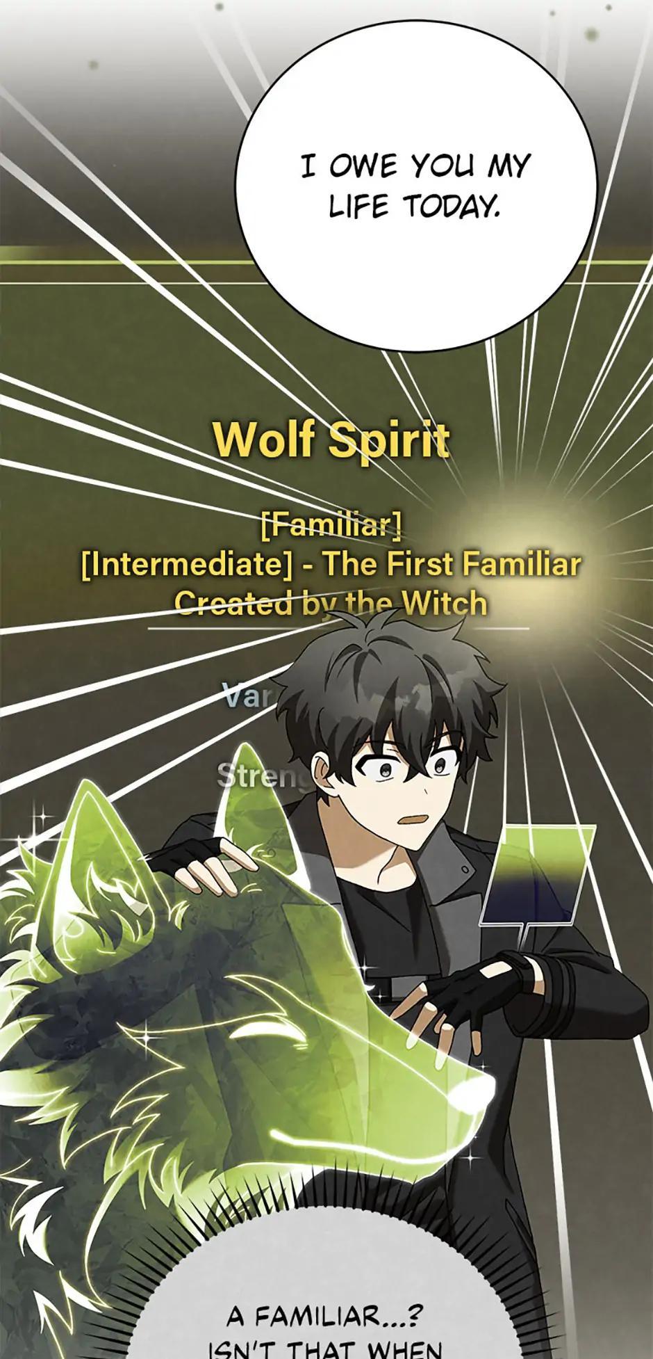 The Novel