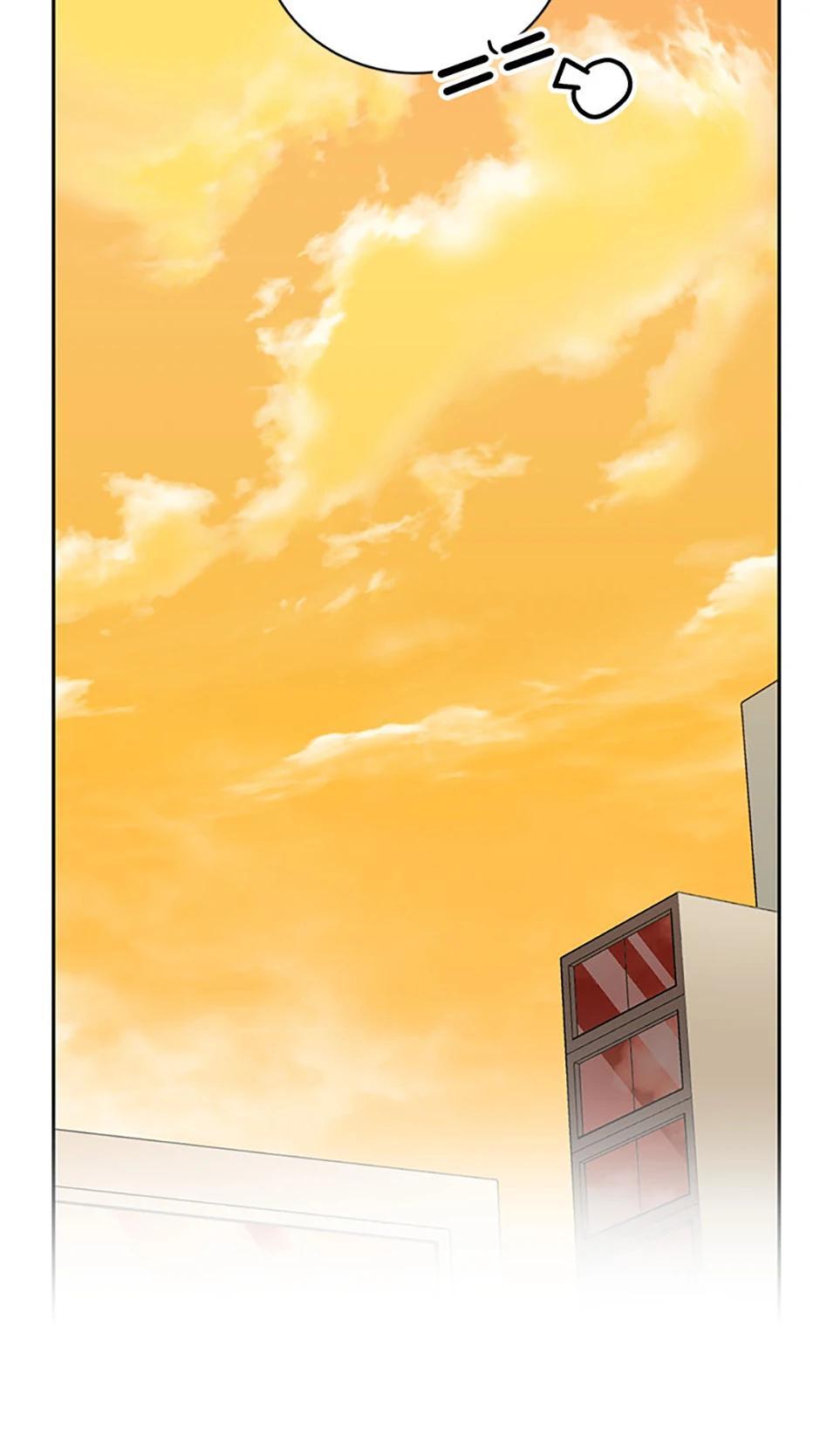The Novel