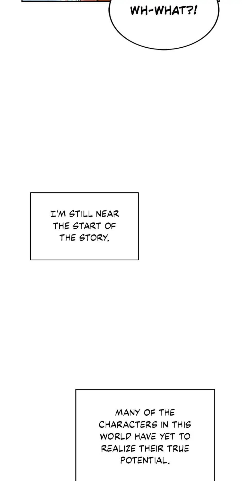 The Novel