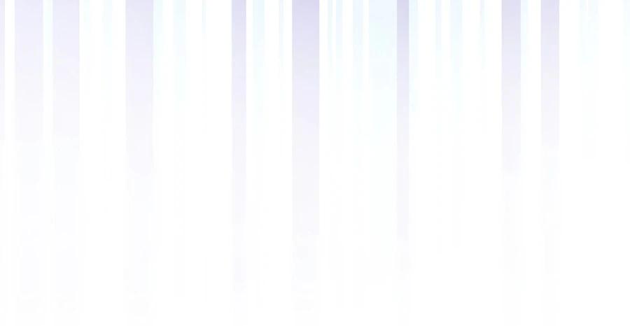 The Novel