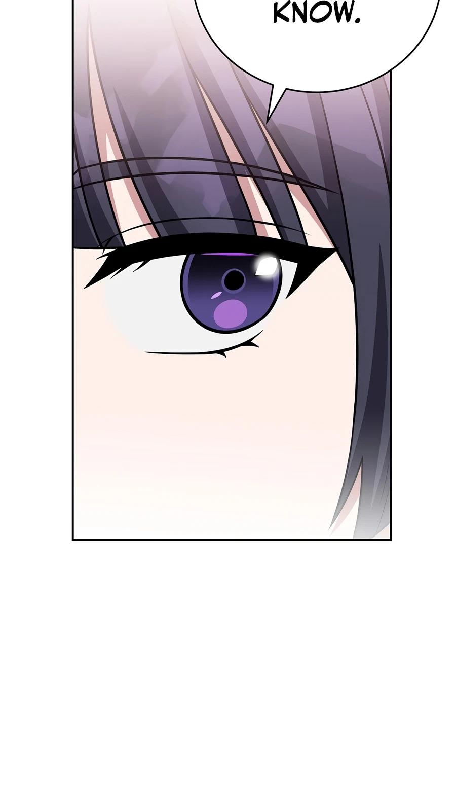 The Novel