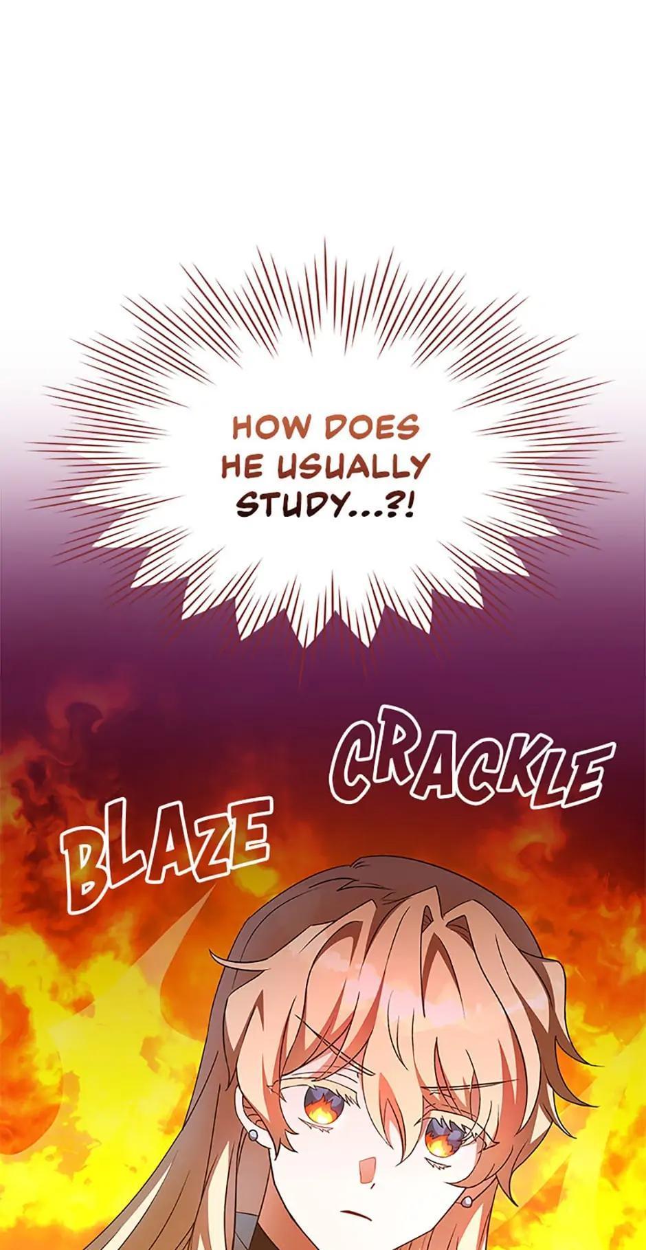 The Novel