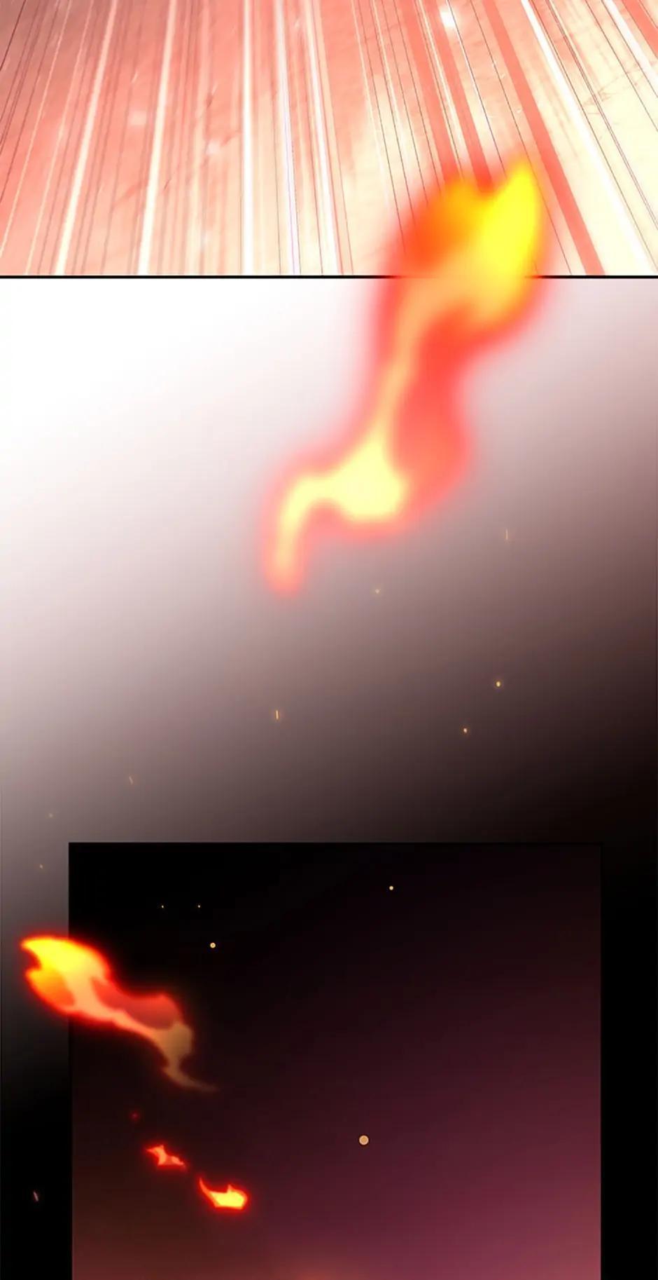 The Novel