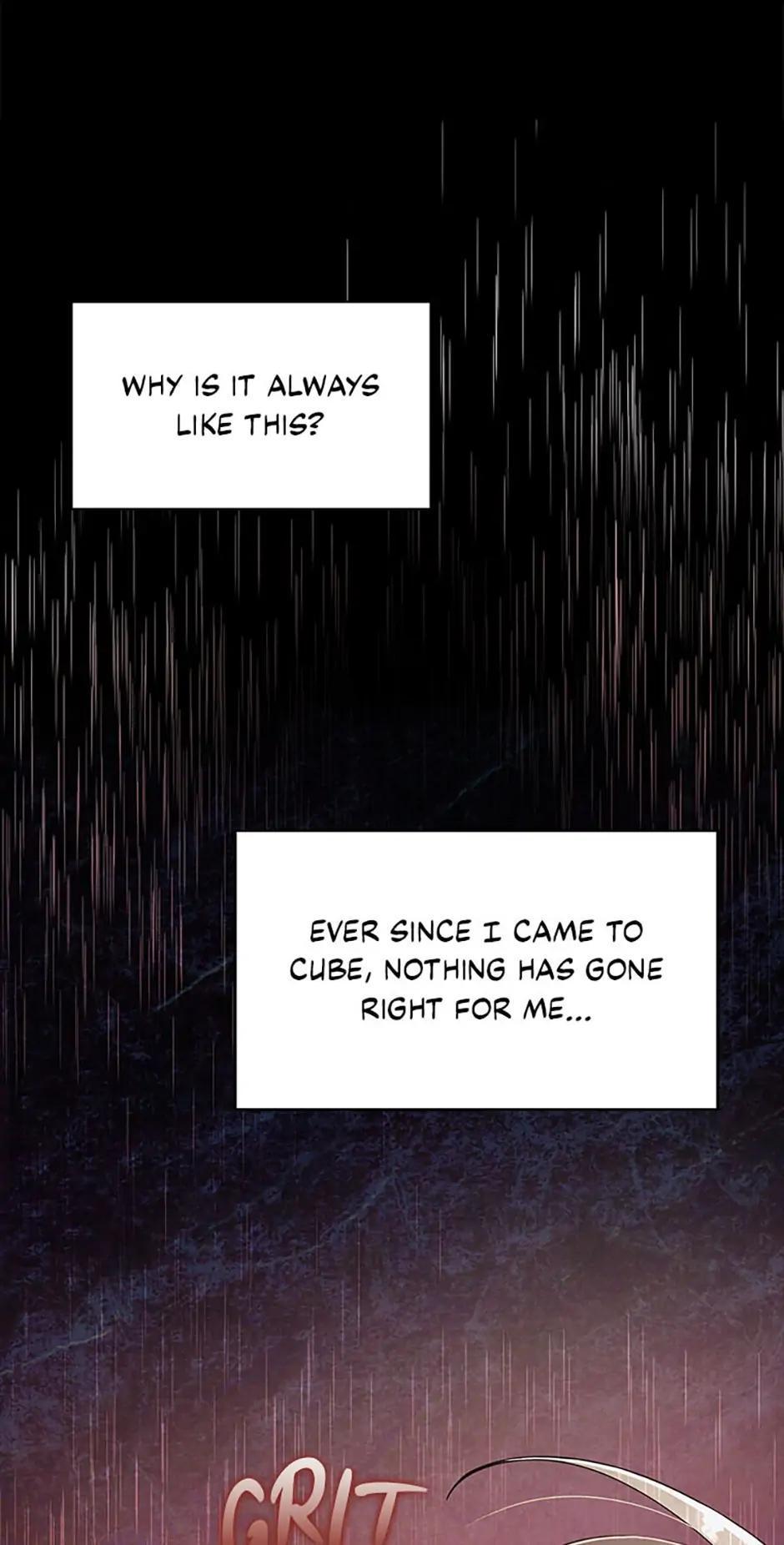 The Novel