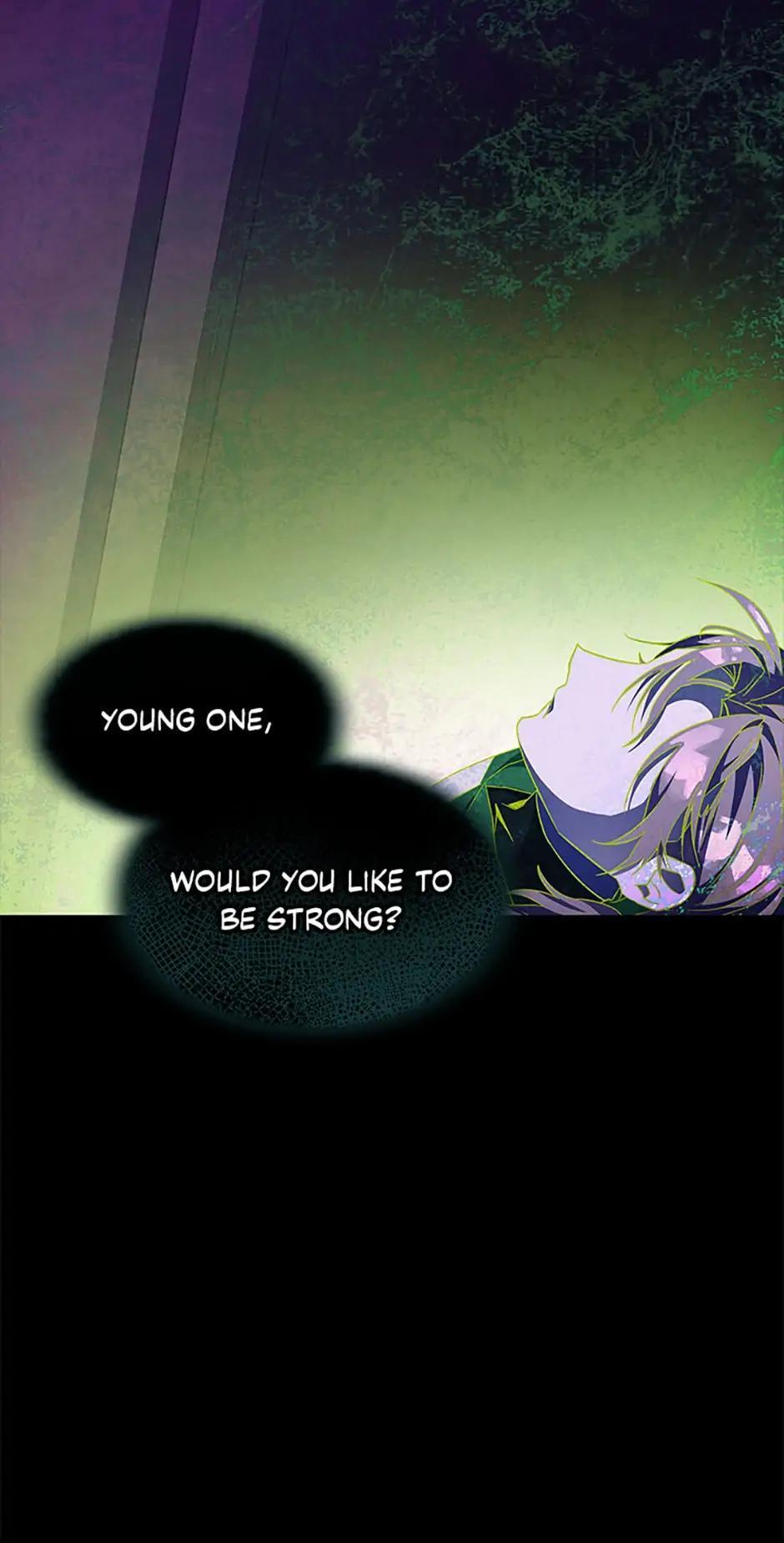 The Novel