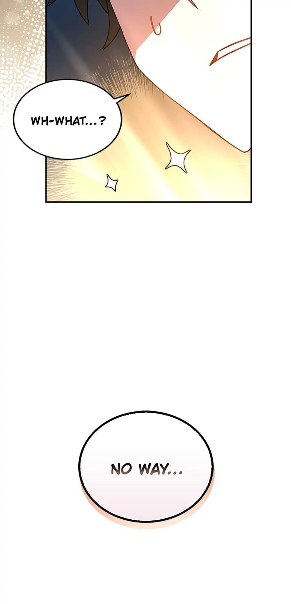 The Novel