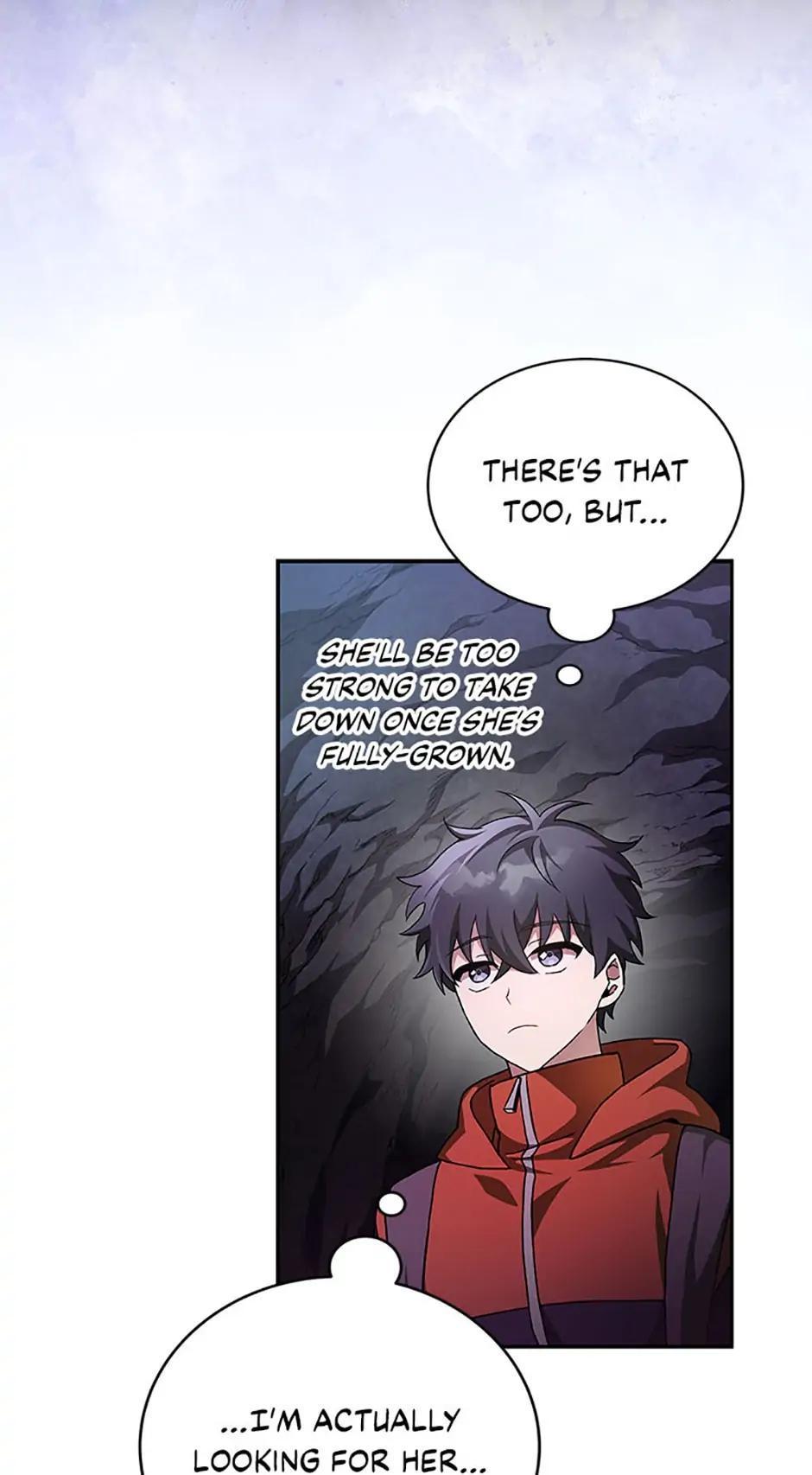 The Novel