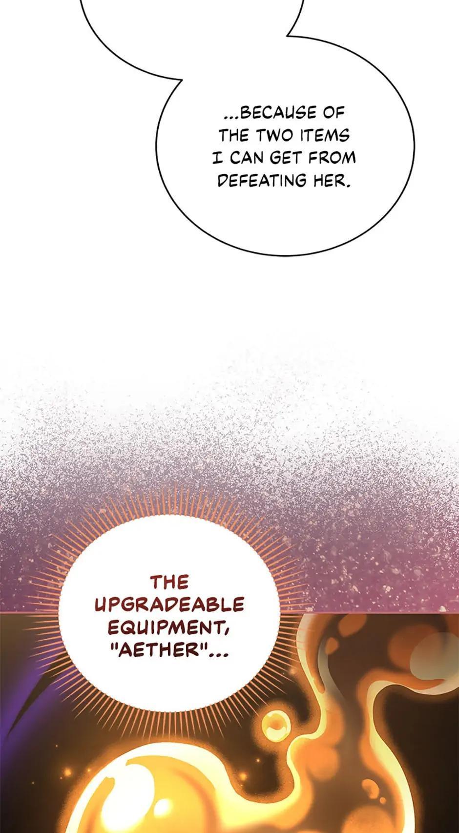 The Novel