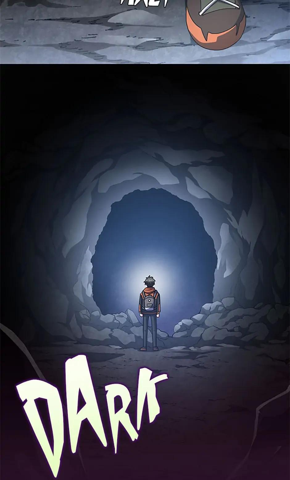 The Novel