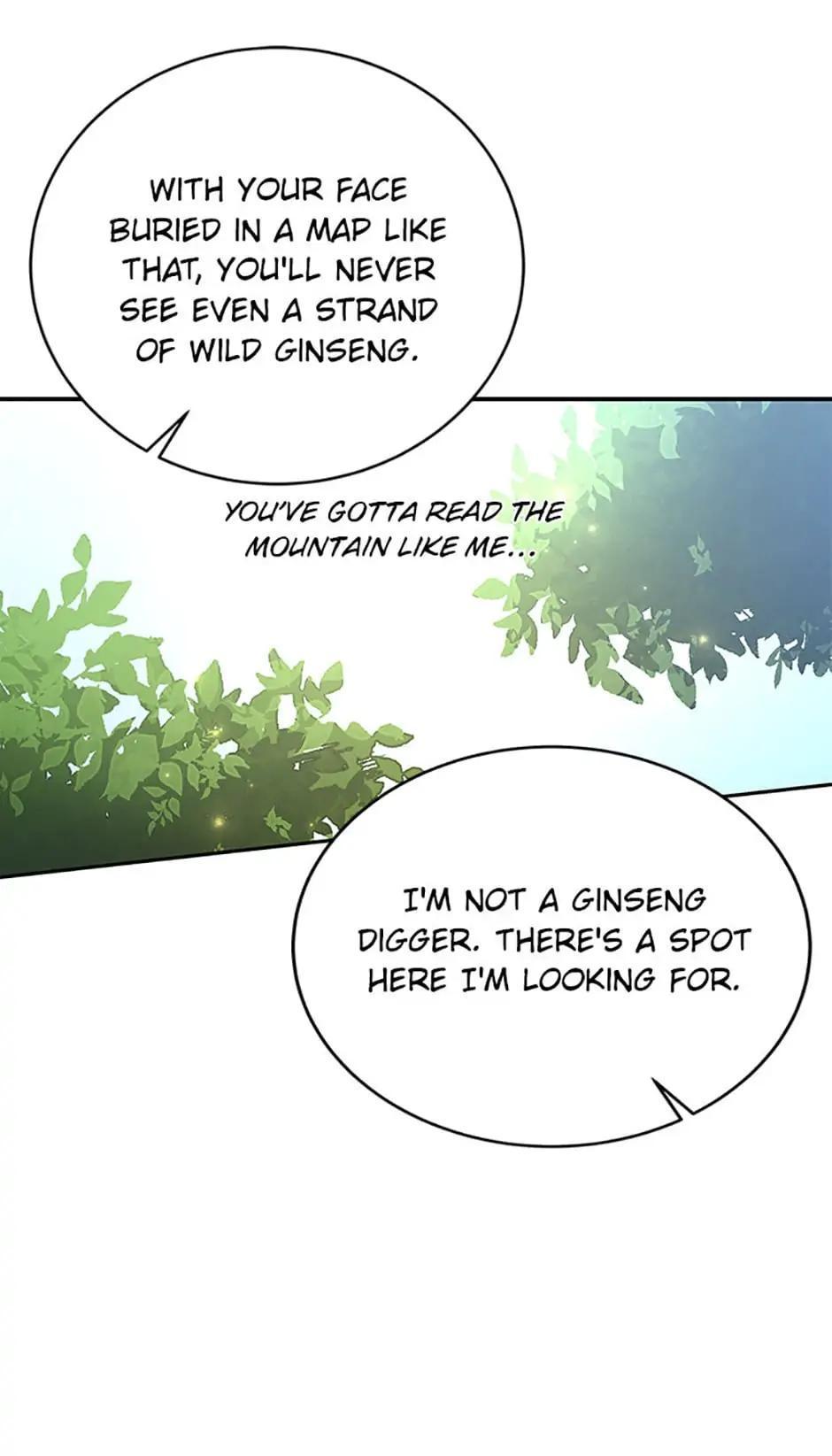 The Novel