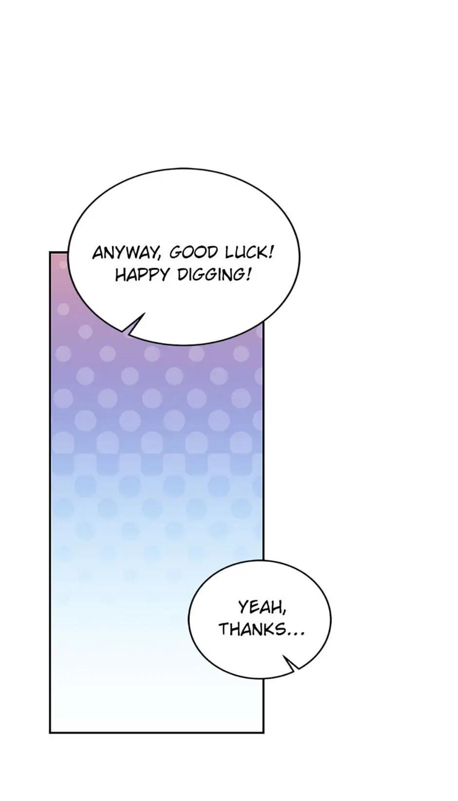 The Novel