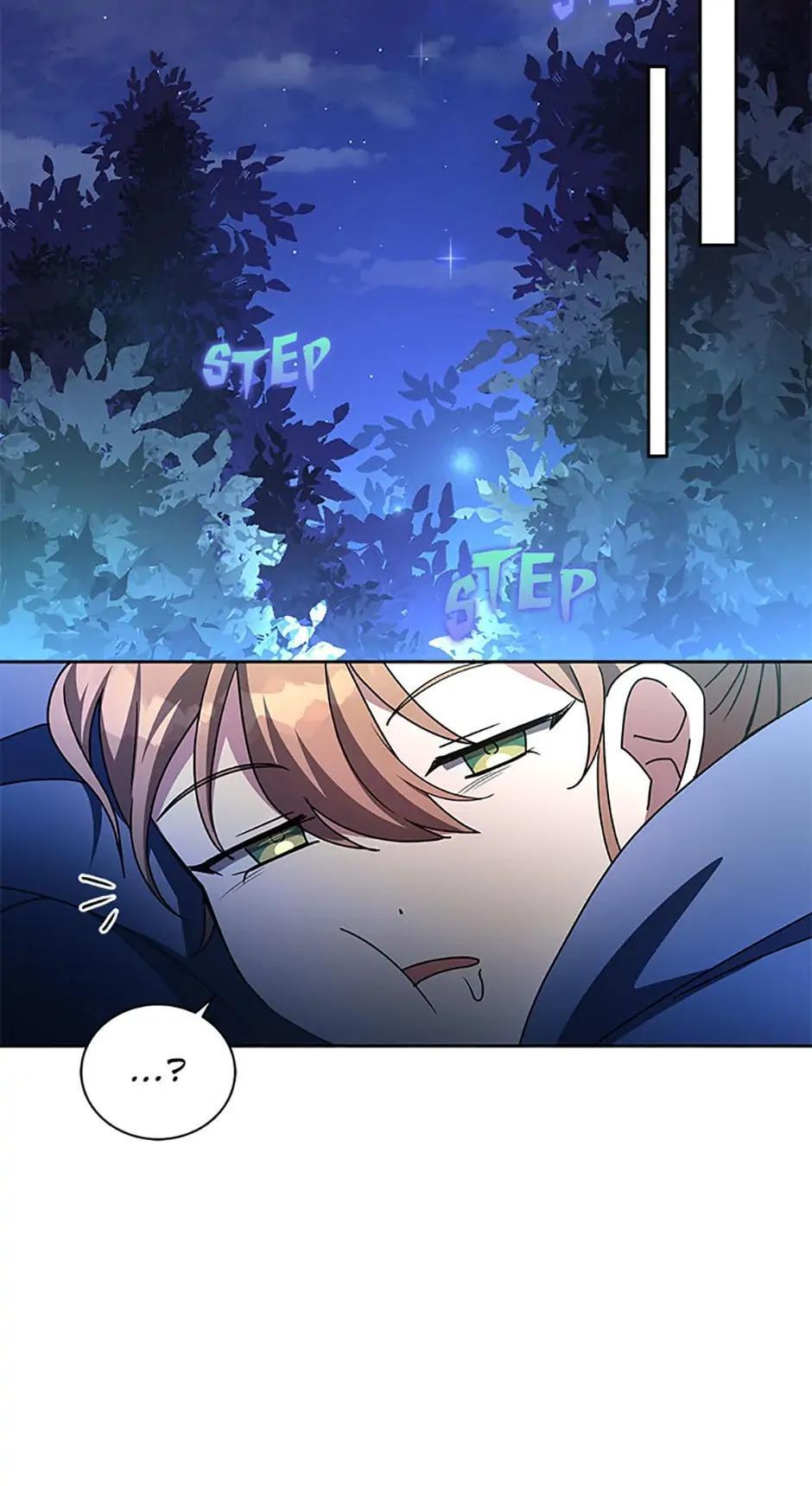 The Novel