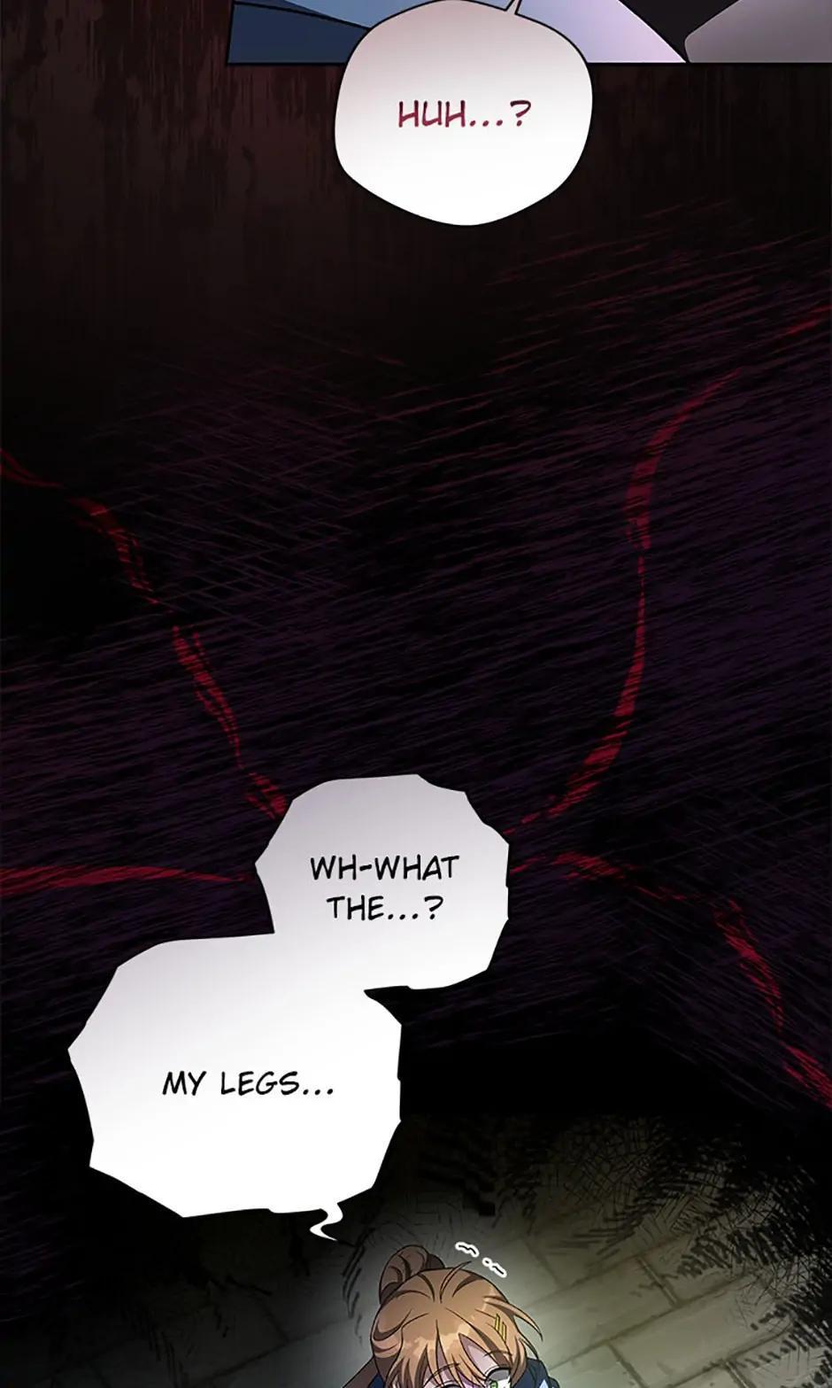The Novel