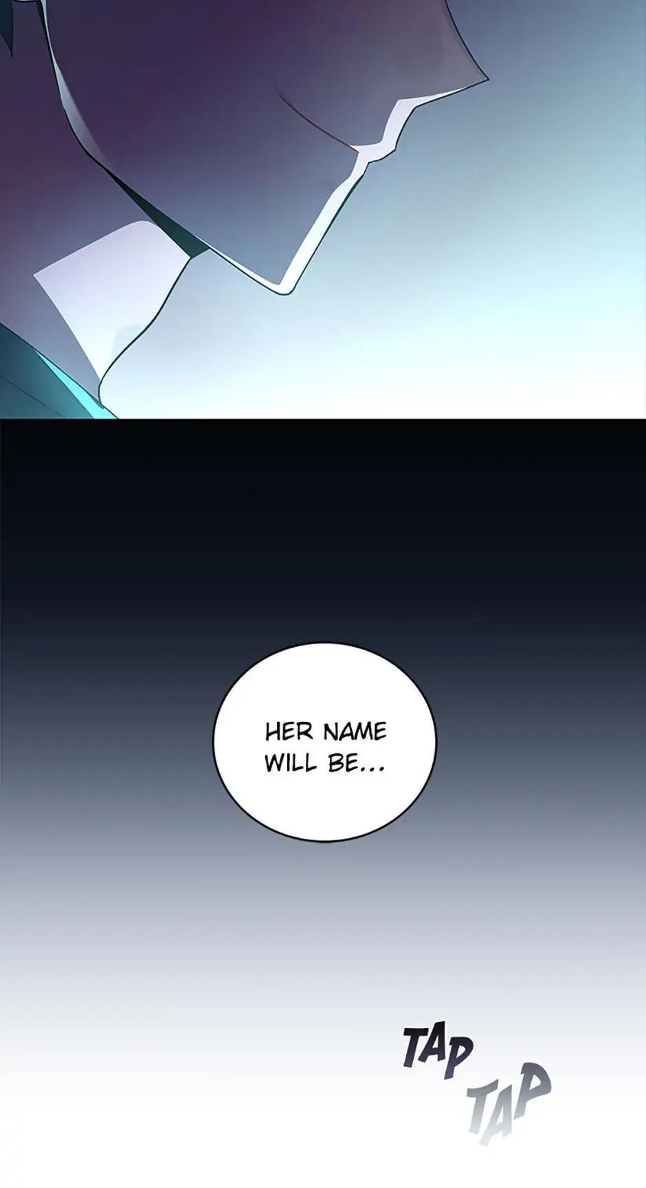 The Novel