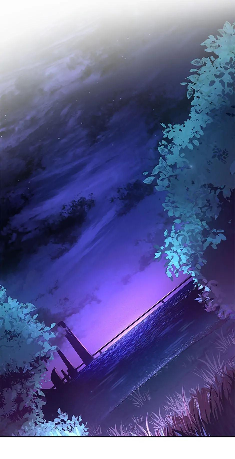 The Novel