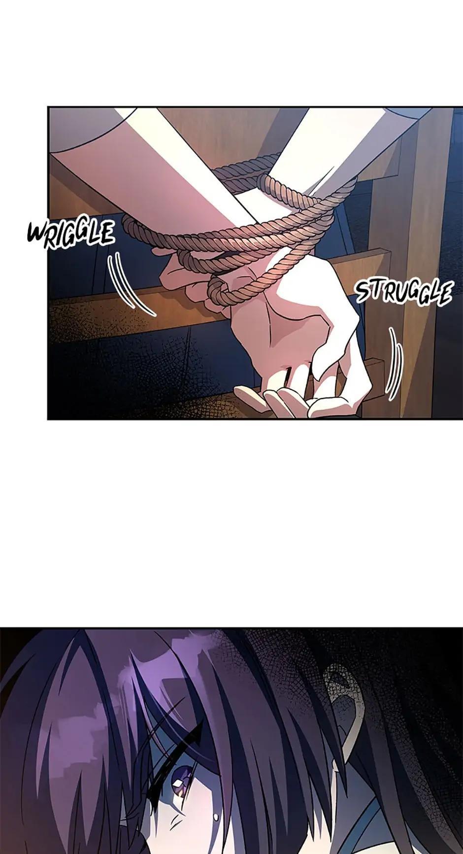 The Novel