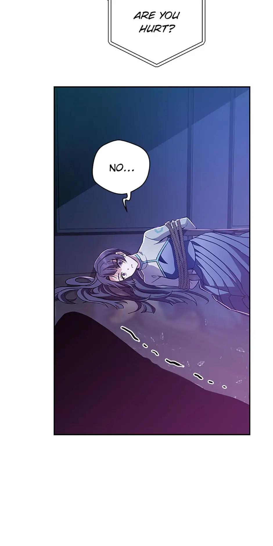 The Novel