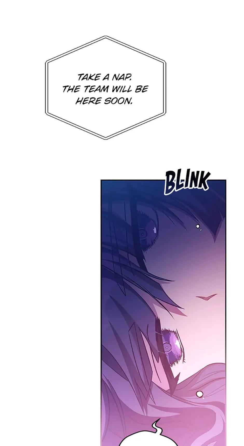 The Novel