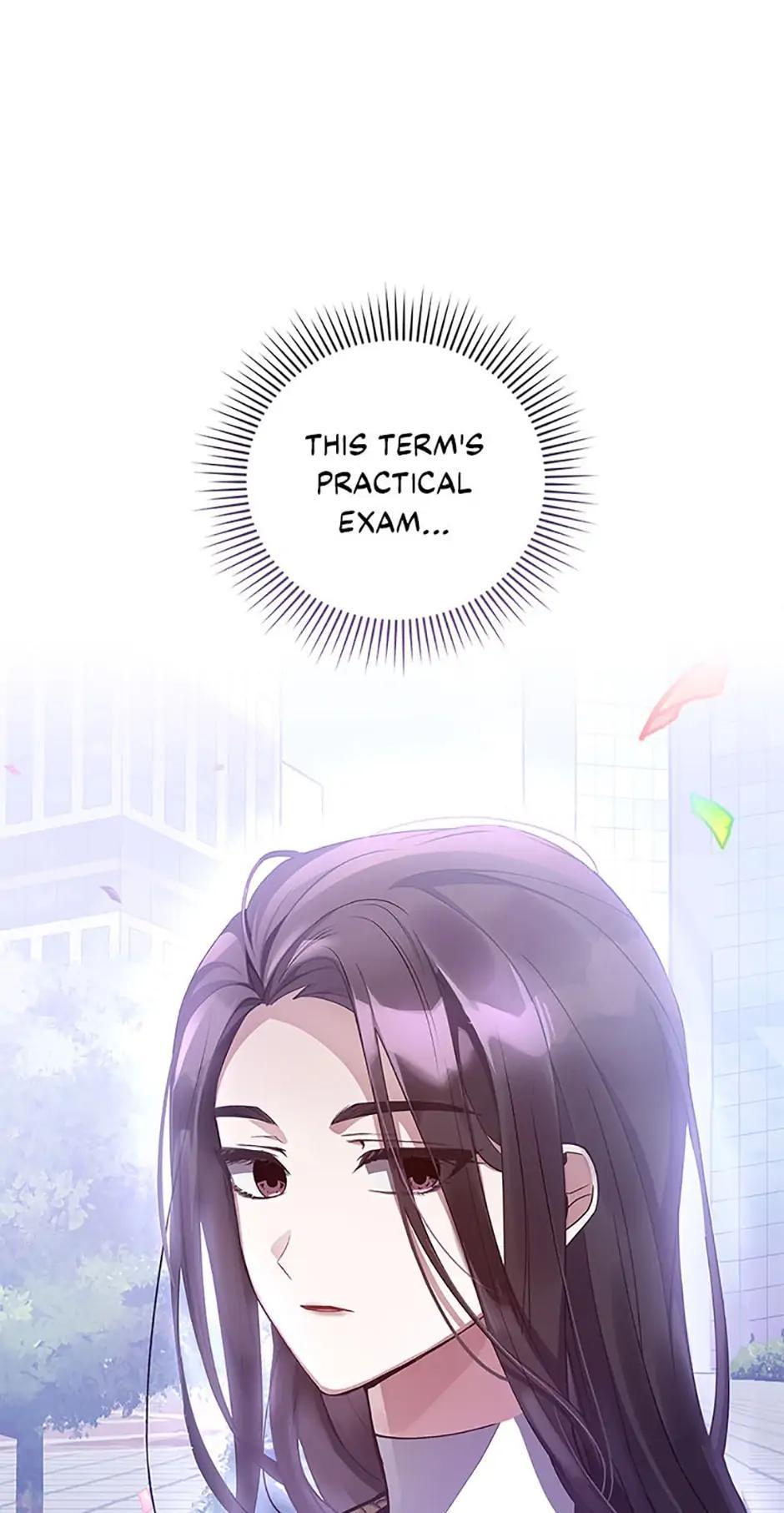 The Novel