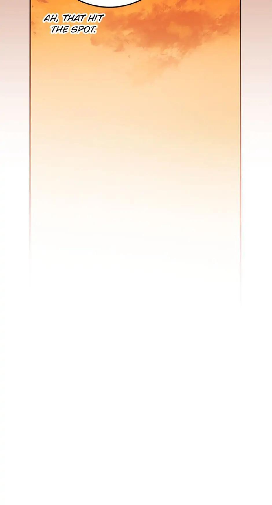 The Novel