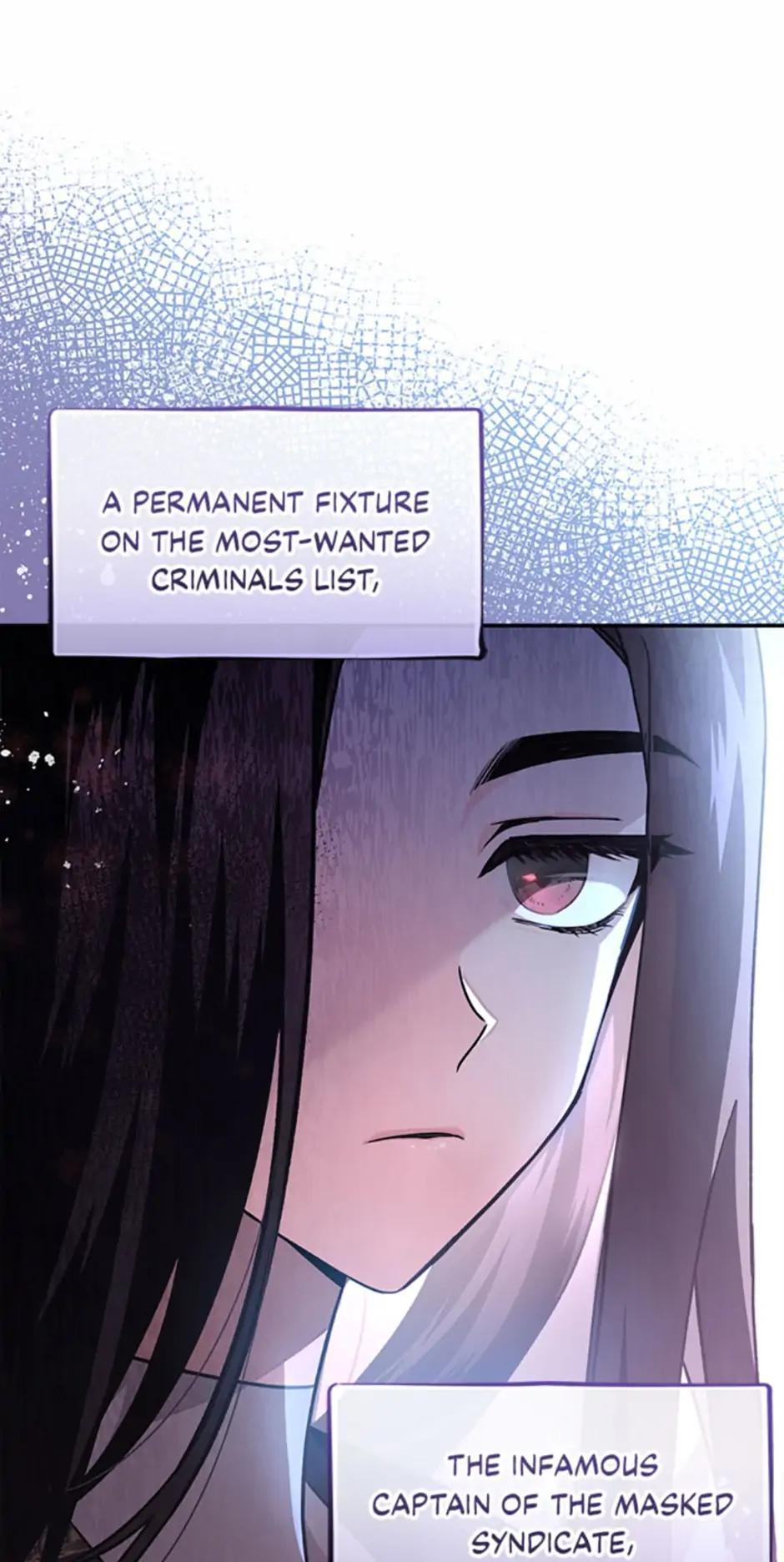 The Novel