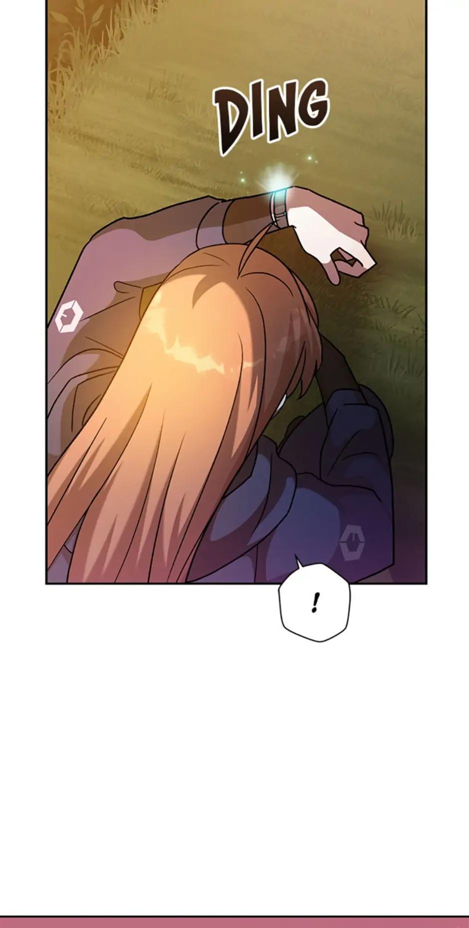 The Novel