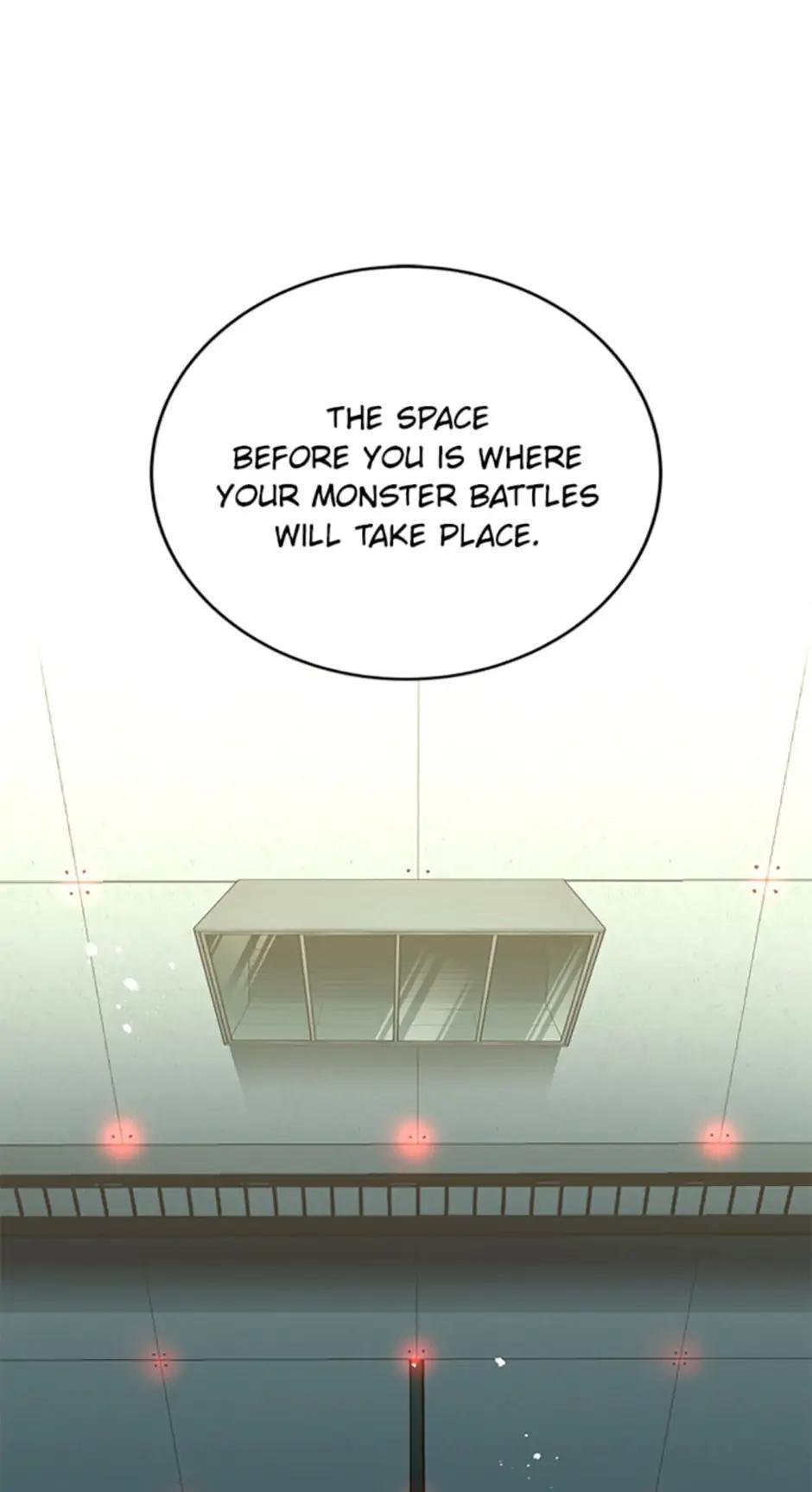 The Novel