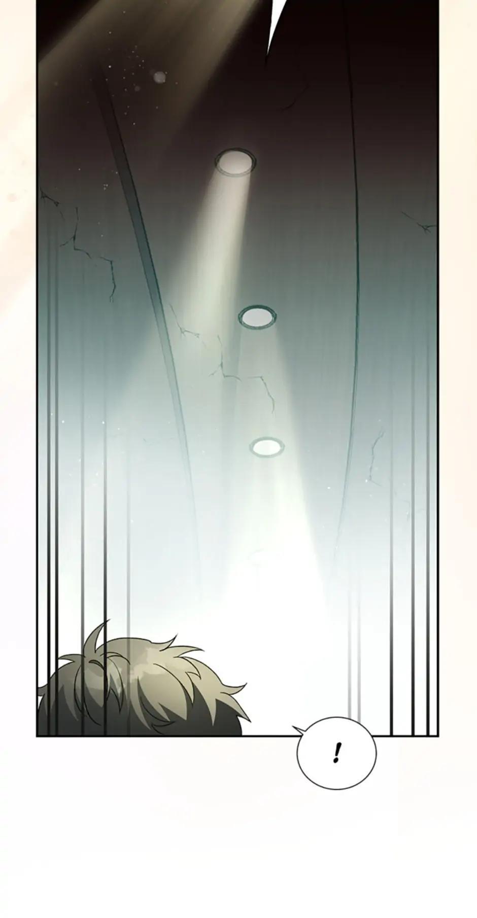 The Novel
