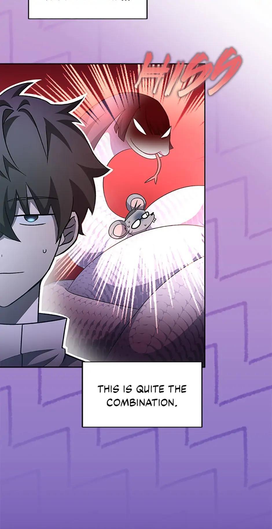 The Novel