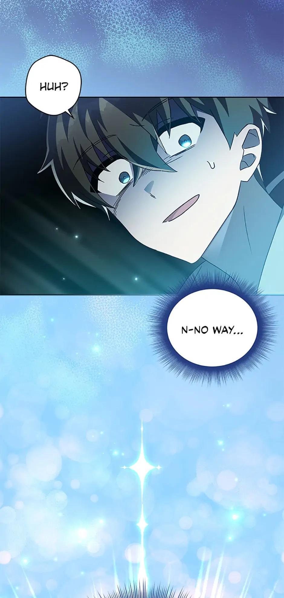 The Novel