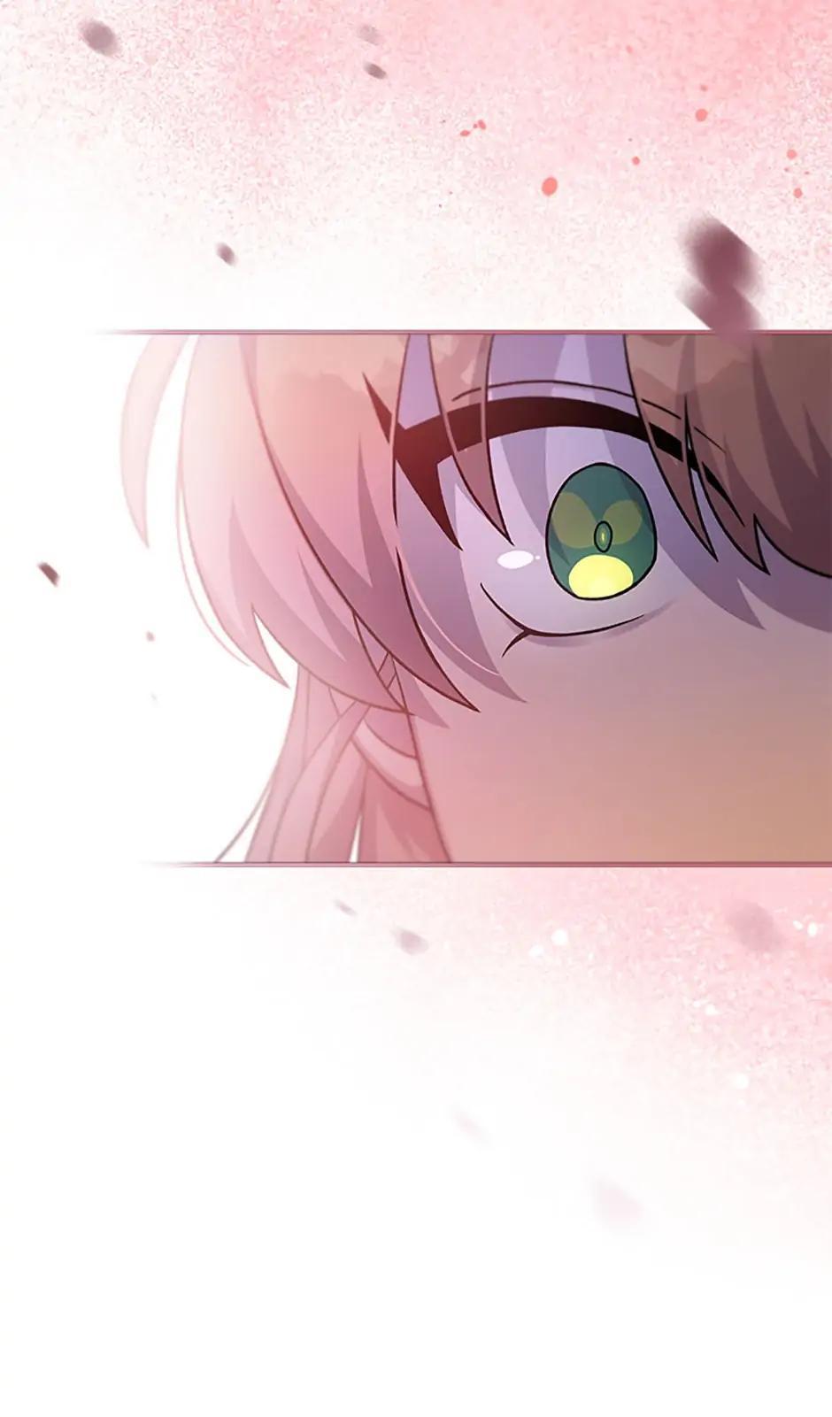 The Novel
