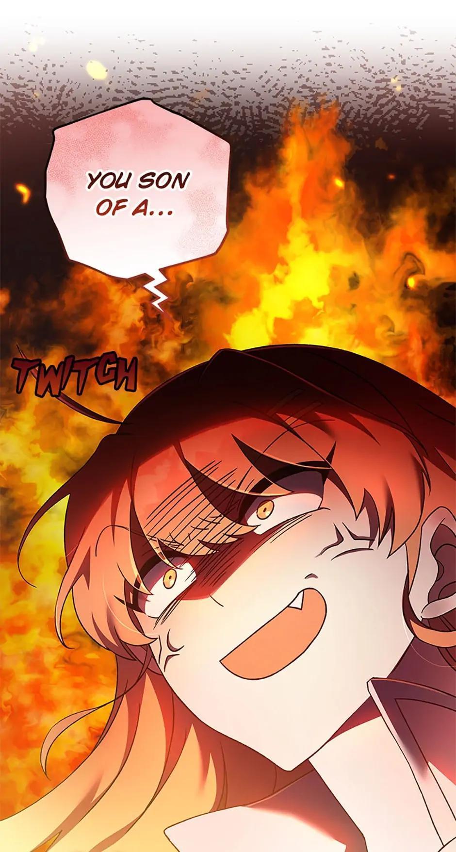 The Novel