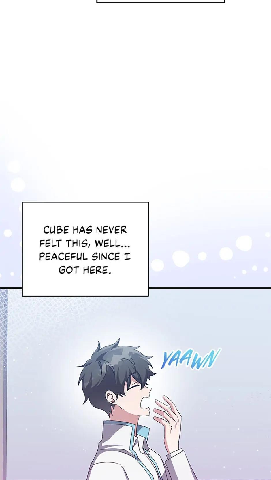 The Novel