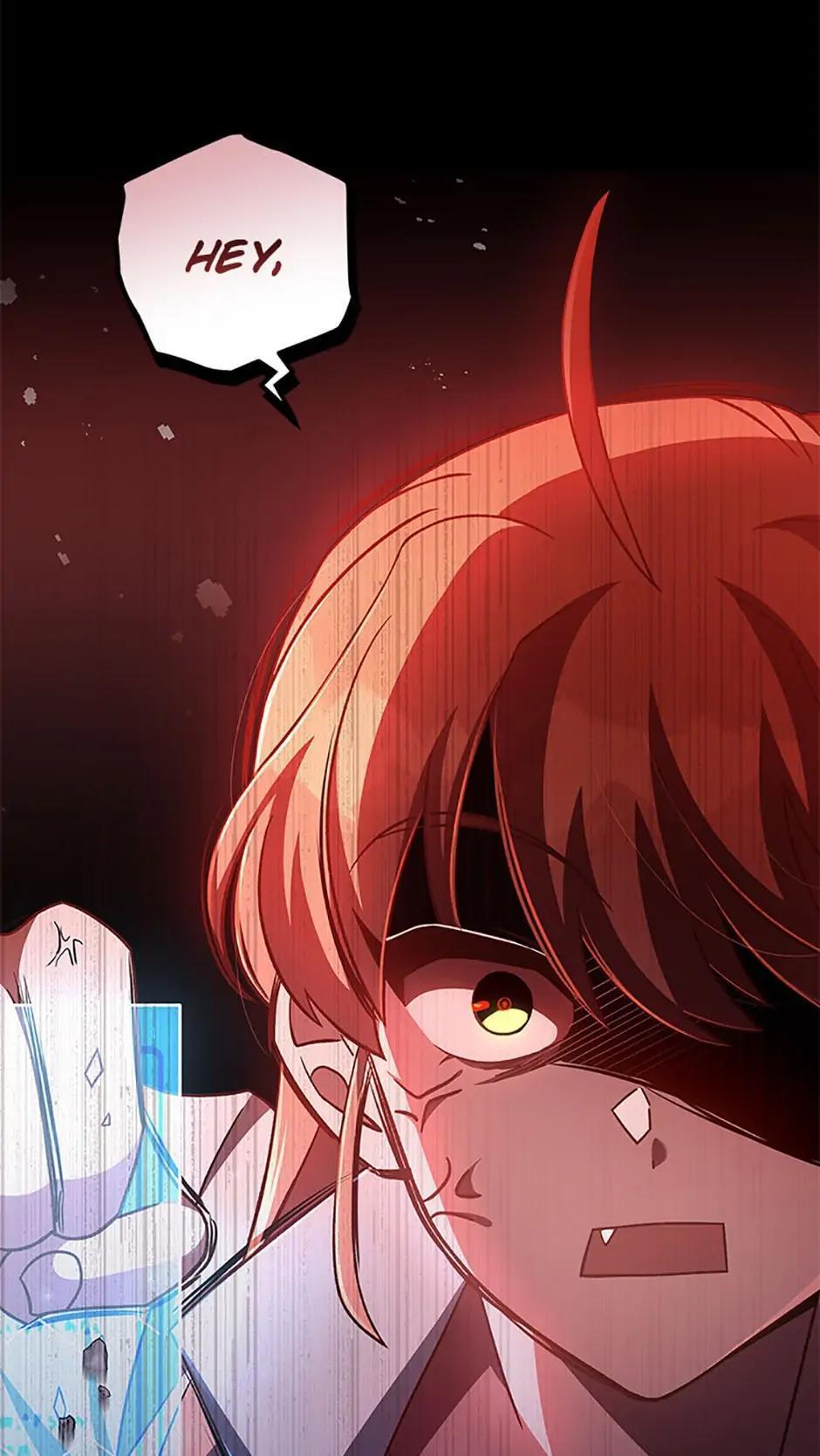 The Novel