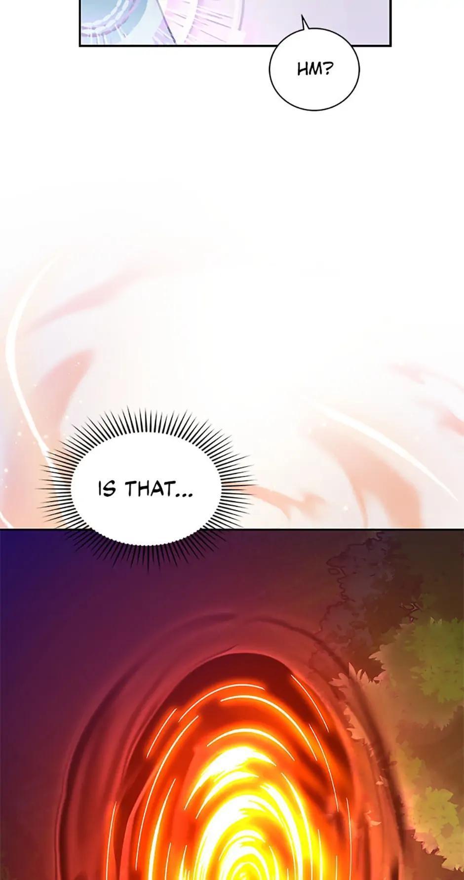 The Novel
