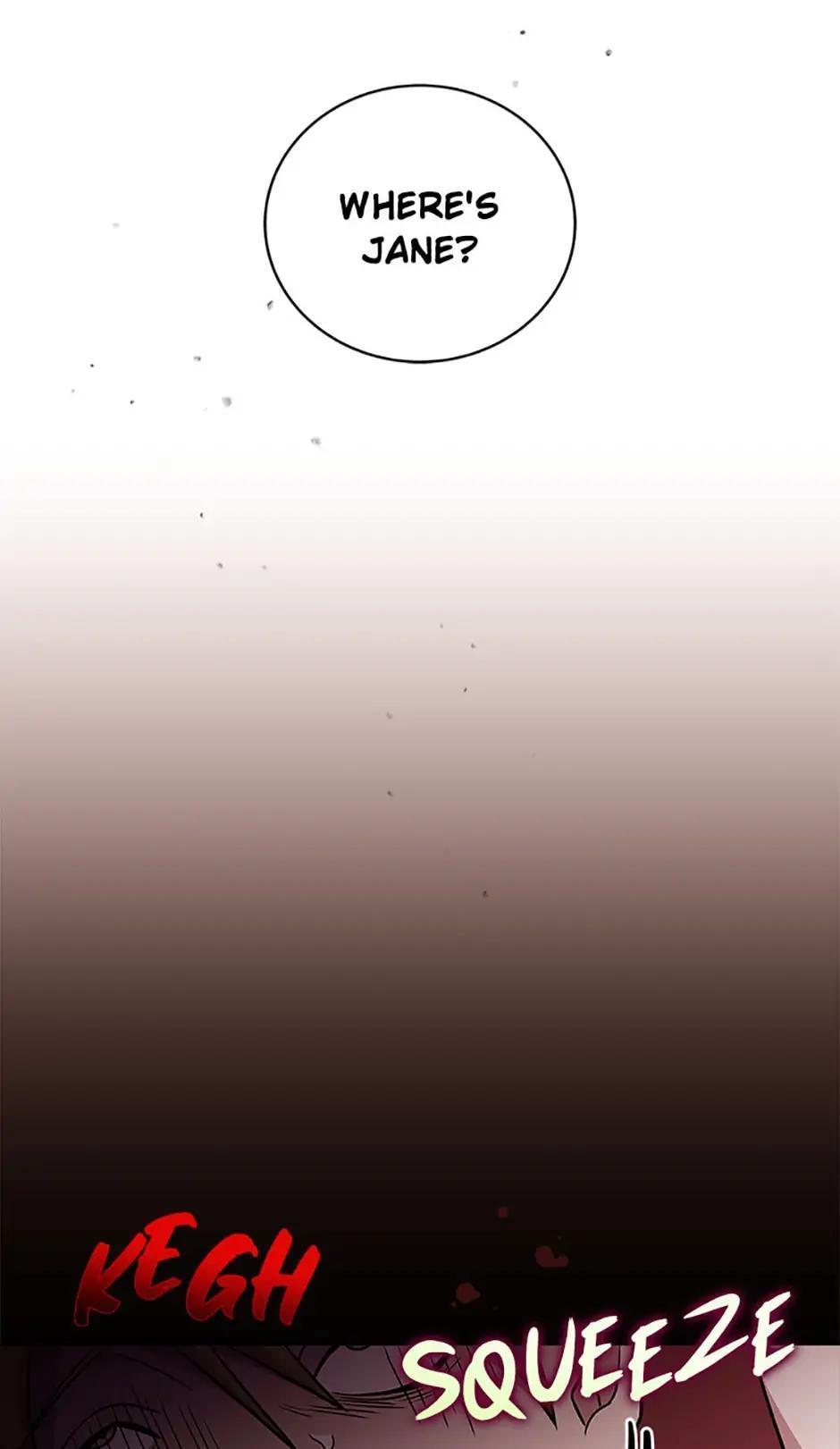 The Novel