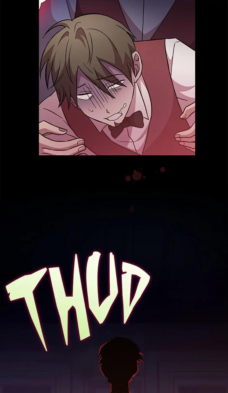 The Novel