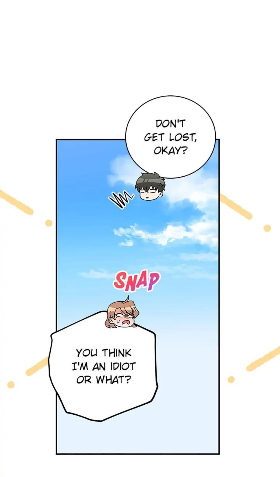 The Novel
