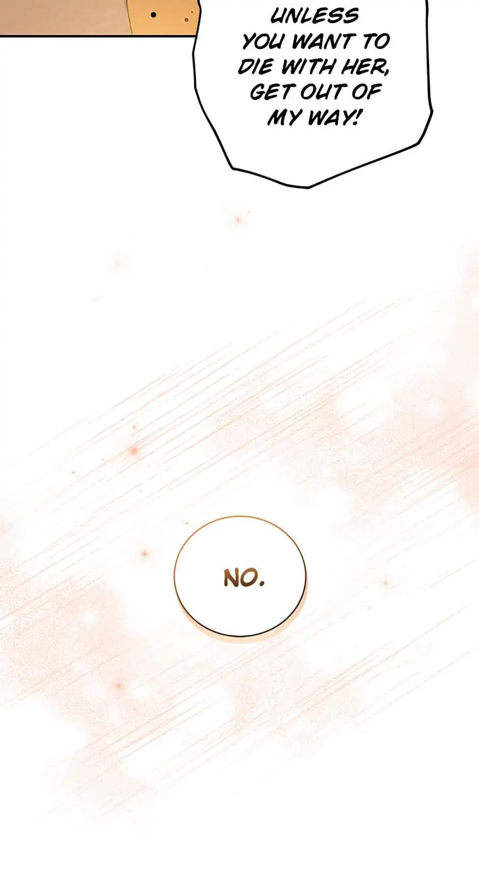 The Novel