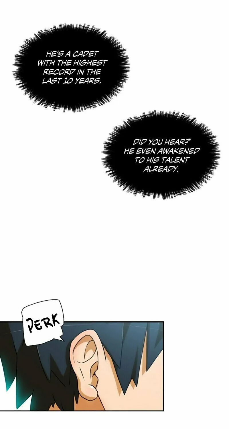 The Novel