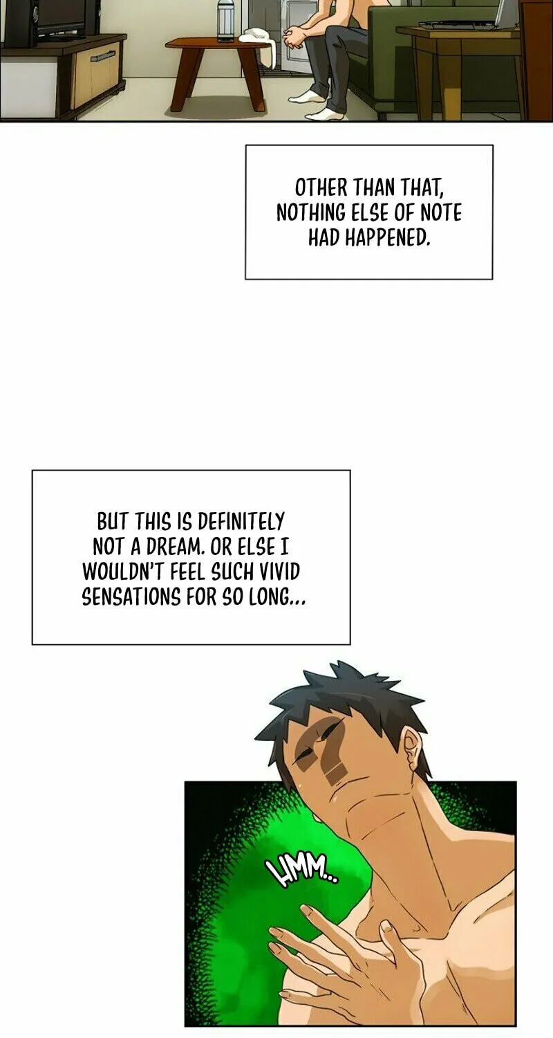 The Novel