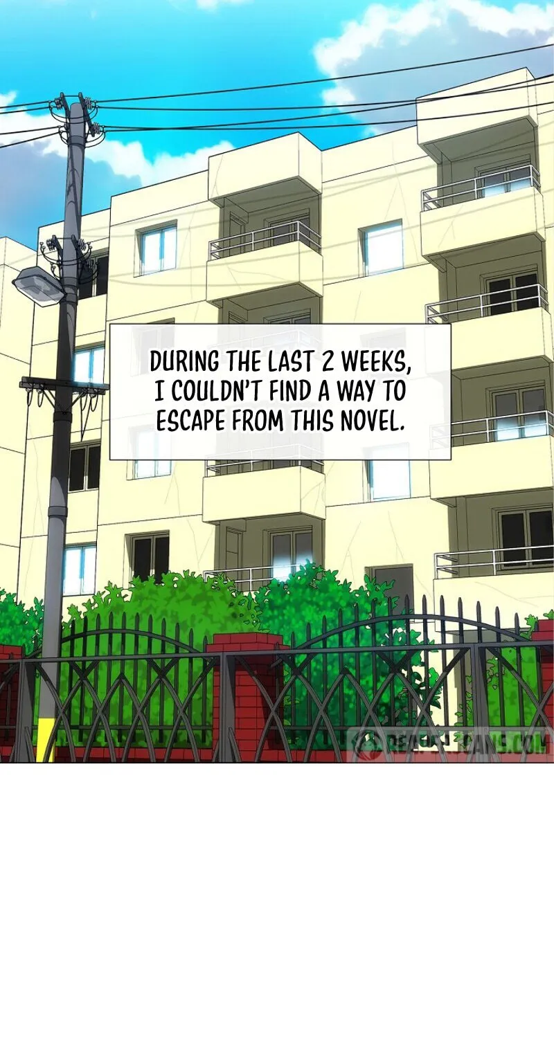 The Novel