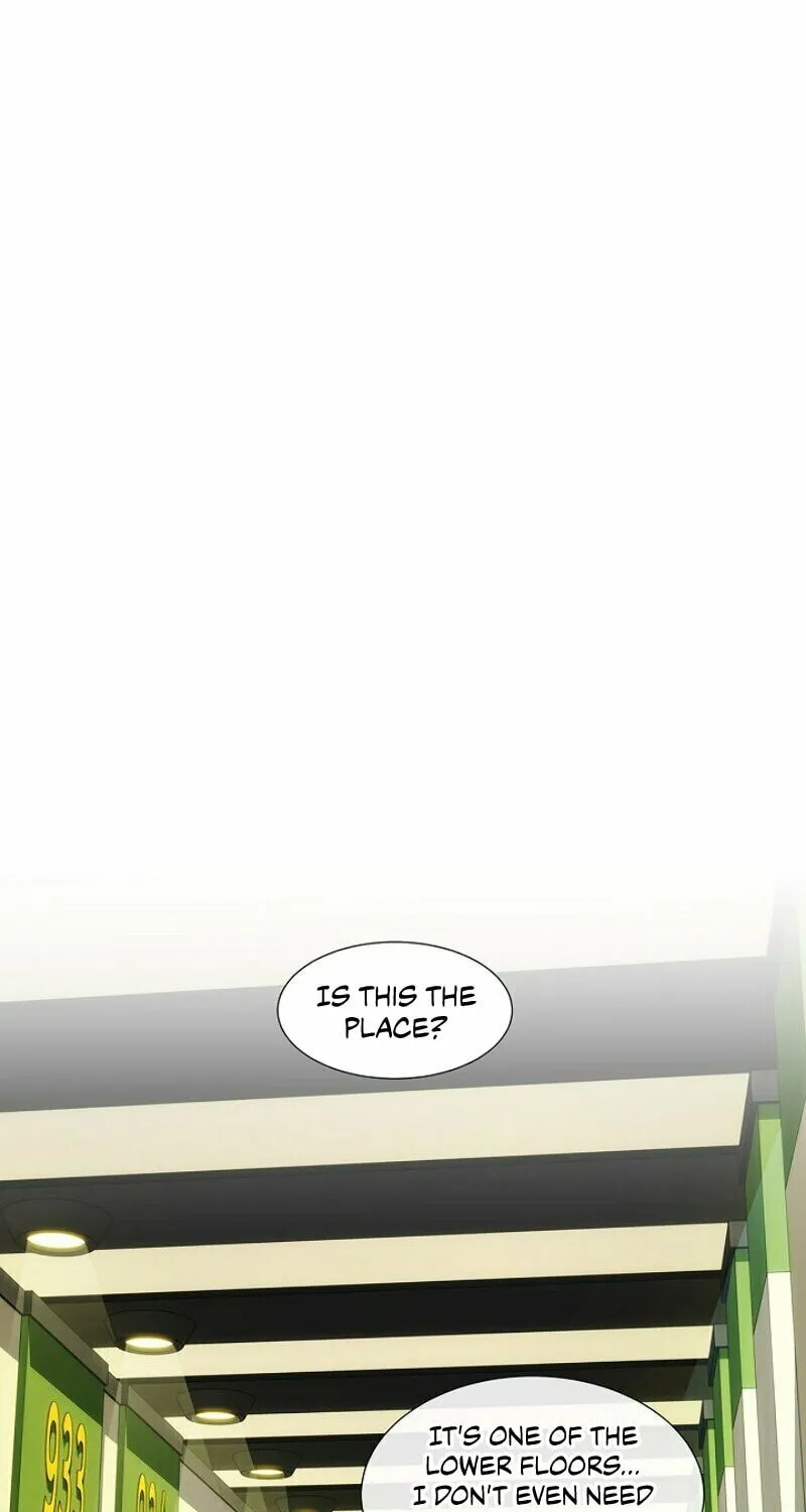The Novel