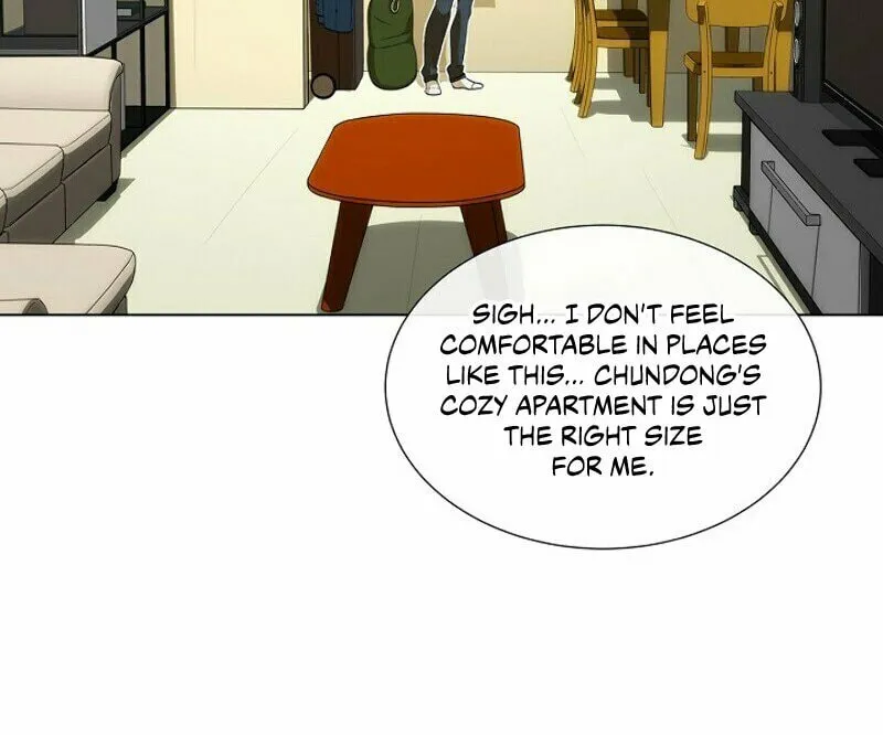 The Novel