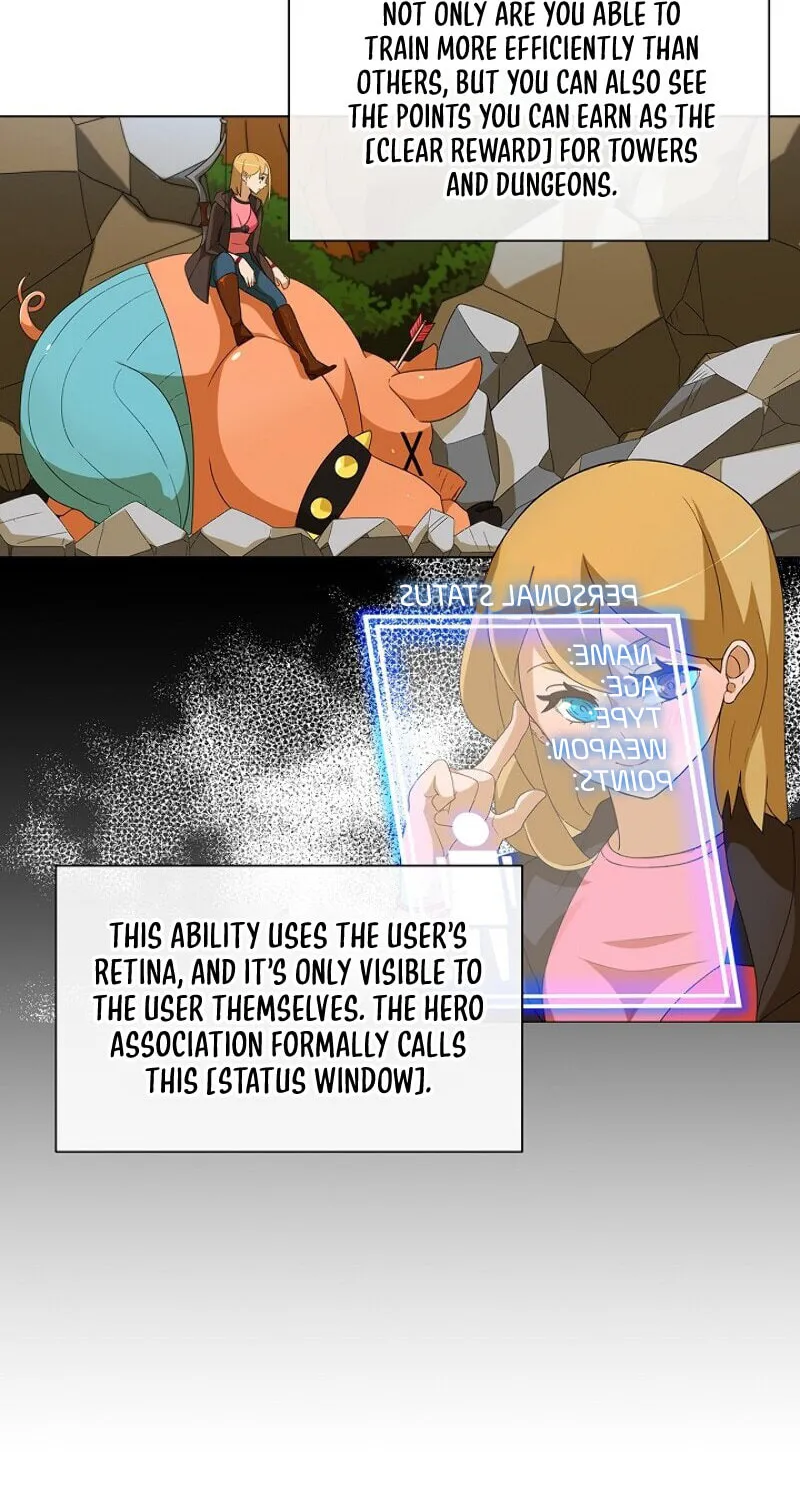 The Novel